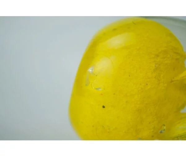 pisapapel pisa papel