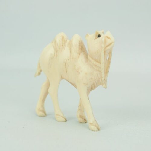 Camello de marfil | 1