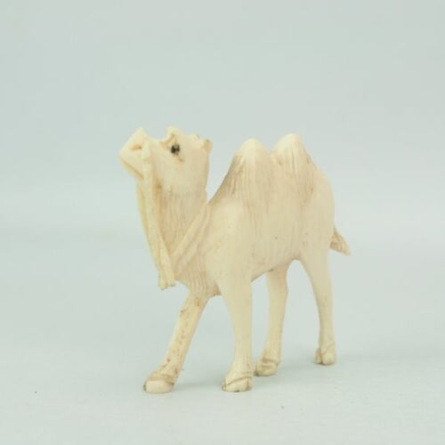 Camello de marfil | 3