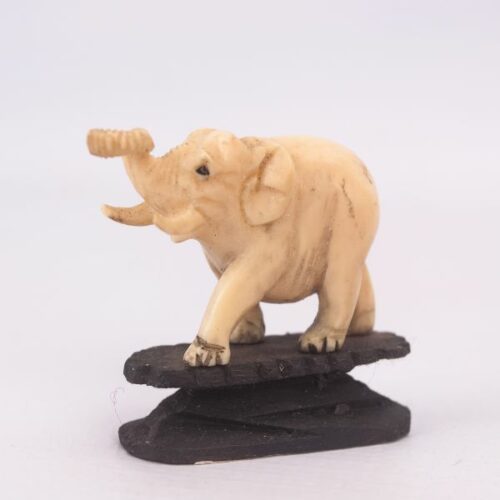 Elefante en marfil con base de madera | 1