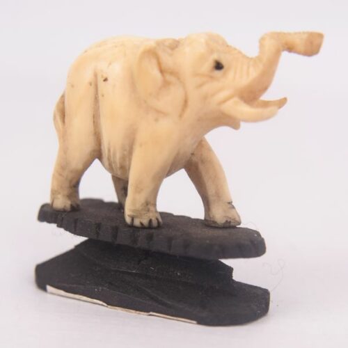 Elefante en marfil con base de madera | 3