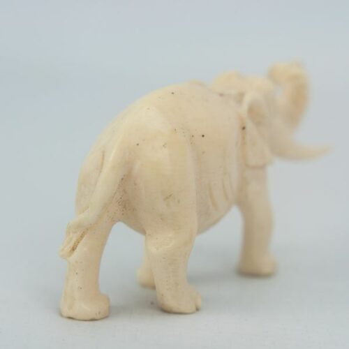 Elefante en marfil | 5
